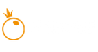 PP 王者墊子
