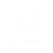 YES BINGO YB