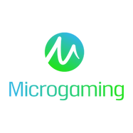 MICRO GAMING